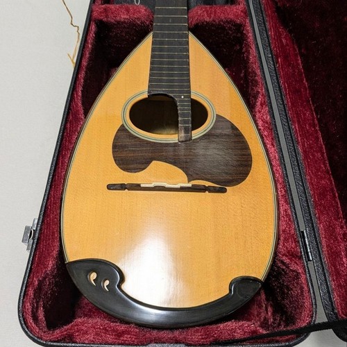 Suzuki mandolino - m-30,