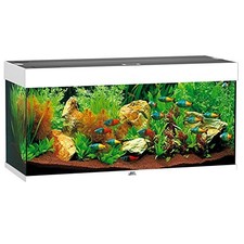 Acquario juwel rio - juwel,