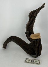 Pianta per acquario naturale