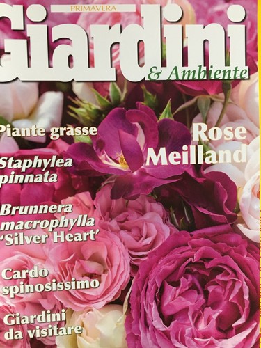 Giardini ambiente 2019 295 - giardini,