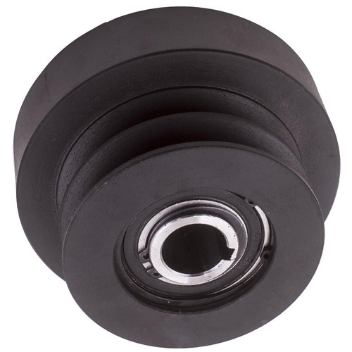 Frizione centrifuga per
