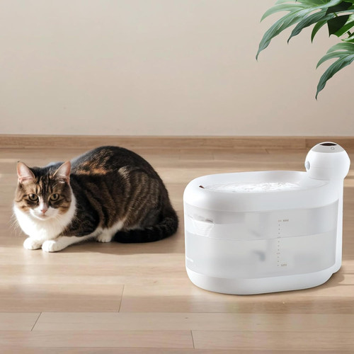 Fontanella per gatti - fontanella, gatti/cani