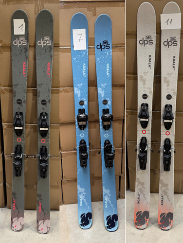 Dps ski koala sci prova - koala,