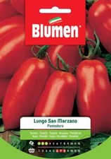 Blumen. Semi di Pomodoro Lungo