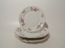 SERVIZIO TAVOLA  PIATTI PORCELLANA BAVARIA SELTMANN DECORO FIORI PESCO 20 PEZZI