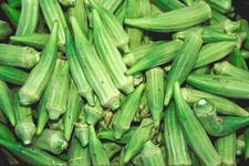 OKRA PUSA SAWANI, SEMI, SEEDS, RARISSIMO, KENYA, 