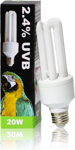 Lampadina lampada fluorescente - lampadina,