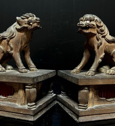 Coppia leone guardiano cane