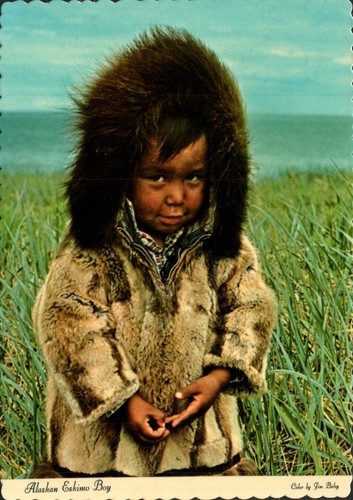 Alaskan eschimese bambino - alaskan,