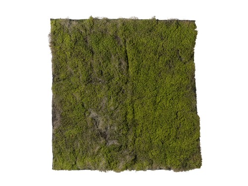 Tappeto muschio 100x100cm - tappeto,