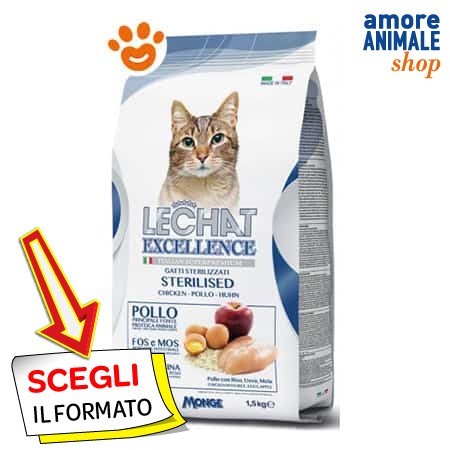 Monge lechat cat - monge,