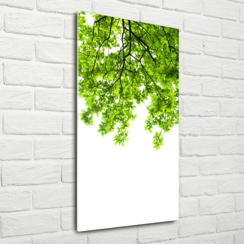 Tulup stampa vetro wall art - stampa,