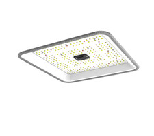 ORTOLED - QUANTUM BOARD LED