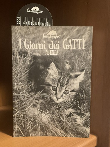 Giorni dei gatti - giorni, agenda