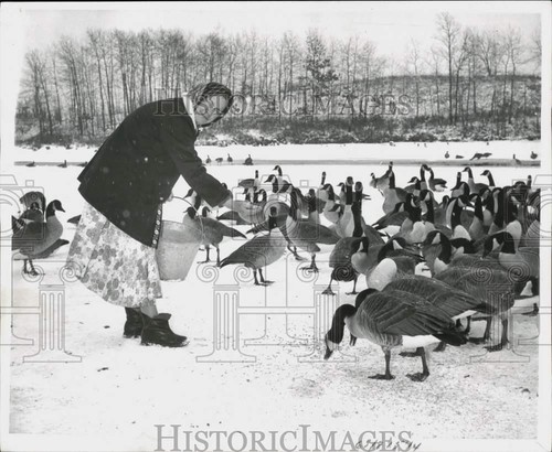 1961 stampa foto - foto, betty