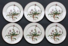 6 superbes ASSIETTES A DESSERT