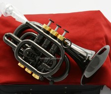 Tromba tascabile professionale