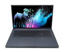 Asus VivoBook 17X