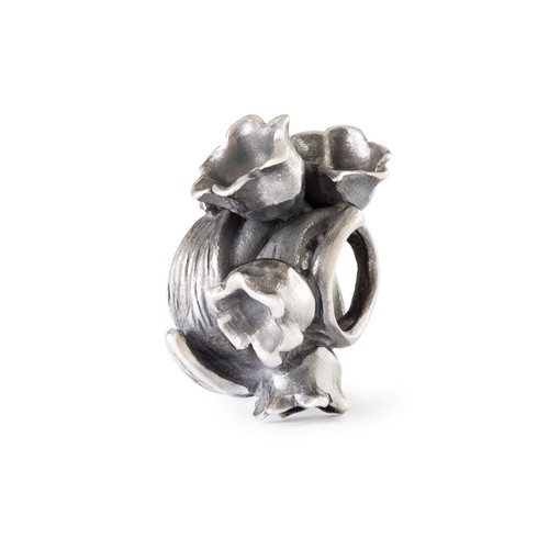 Moda trollbeads delicato - moda,