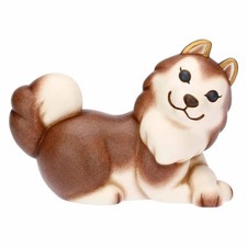 Cane Husky Thun, Alaska medio