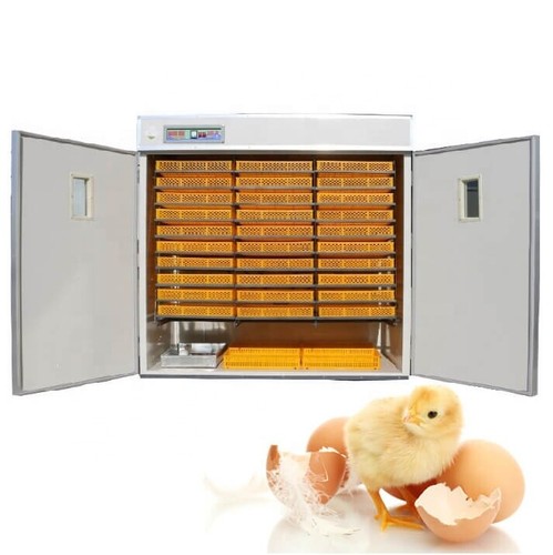 Macchina cova automatica - macchina,