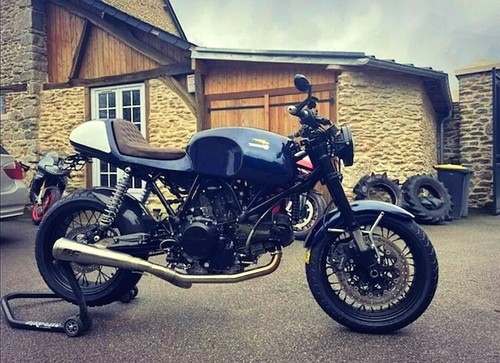 Codone monoposto ducati - monoposto, gt