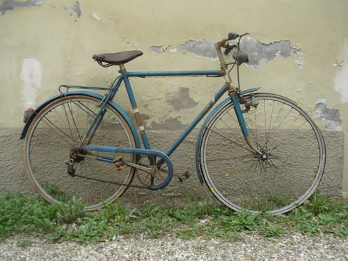 Condorino wander campagnolo - wander,