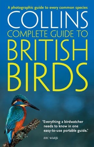 British birds photographic - british, birds: