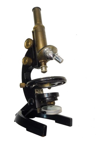 Microscopio fratelli koristka - microscopio,
