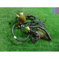 Impianto cablaggio elettrico Honda Foresight 250 2005 2006