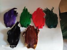 Collo di gallo tinto, Black