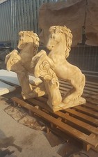 Coppia cavallo cavalli - coppia,