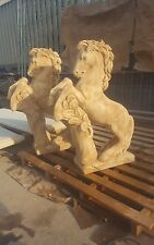 Coppia  2 cavallo cavalli