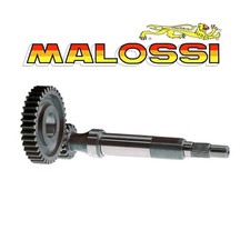 ingranaggio primario Malossi