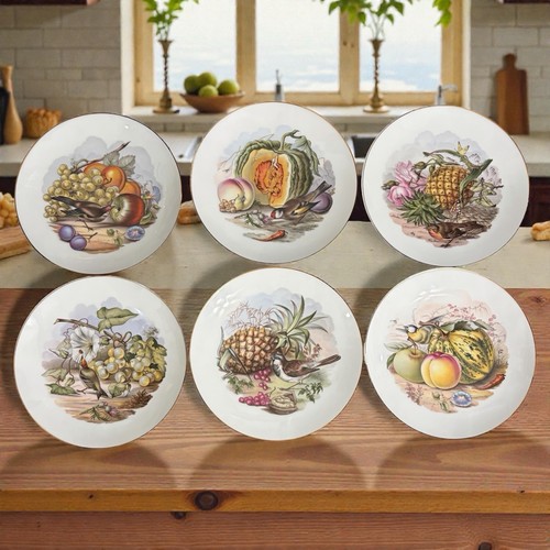 Set piatti johann seltmann - 6,