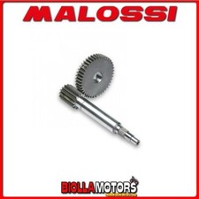 6713602 INGRANAGGI RAPPORTI