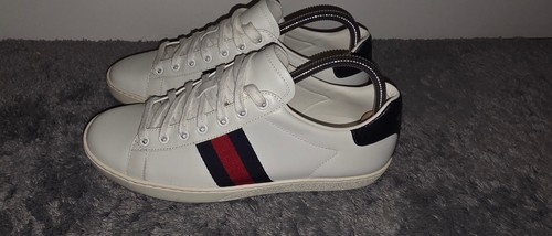 Gucci ace sneaker originali