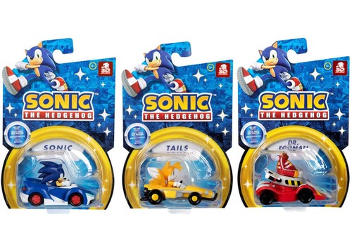 Sonic the hedgehog - hedgehog, veicolo