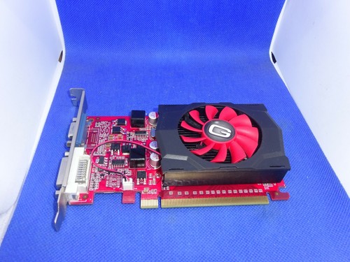 Gainward geforce 240 1gb - gainward,
