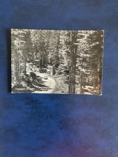 CARTOLINA  CAMPIGNA - " ALPENBAR "- VIAGGIATA 1959