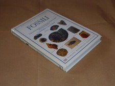 Fossili biblioteca della - la,