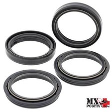 KIT PARAOLI E PARAPOLVERE