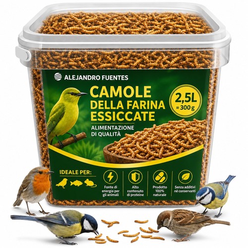 Camole della farina - della,
