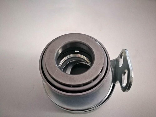 6471836 gruppo ralle cannotto - ralle,