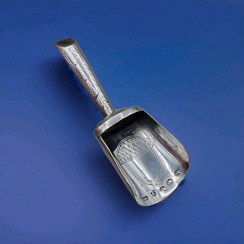 Pala zucchero georgiana - zucchero,