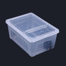Scatola ibernazione plastica