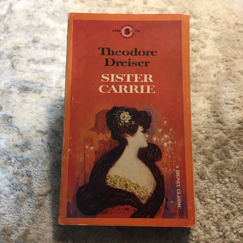 Sister carrie theodore - sister,