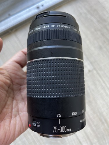 Canon 300 4 - 75-300, mm