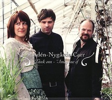 SANDEN/NYGARDS/CARR - TÄNK OM