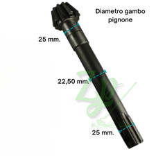 PIGNONE GOLDONI FRESA 25 DENTI